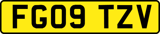FG09TZV