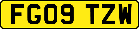FG09TZW