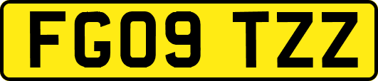 FG09TZZ