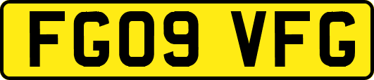 FG09VFG