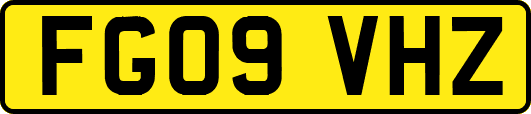 FG09VHZ