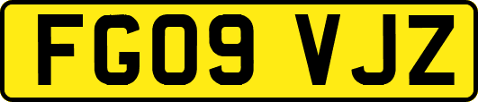 FG09VJZ