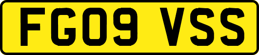 FG09VSS
