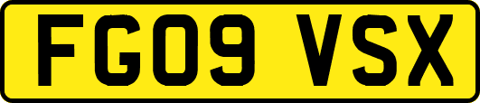 FG09VSX