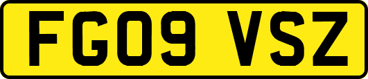 FG09VSZ