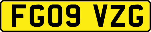 FG09VZG