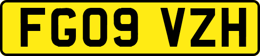 FG09VZH