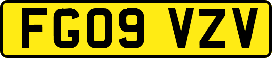 FG09VZV