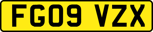 FG09VZX
