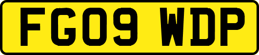FG09WDP