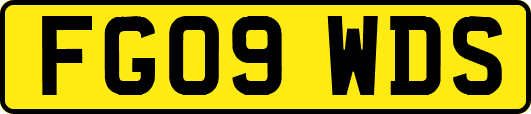 FG09WDS