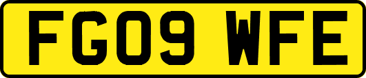 FG09WFE