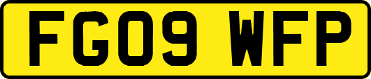 FG09WFP