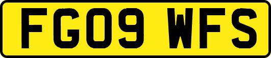 FG09WFS