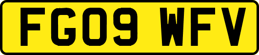 FG09WFV