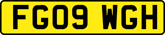 FG09WGH