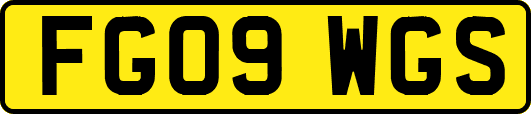 FG09WGS