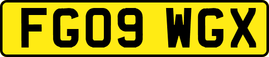 FG09WGX