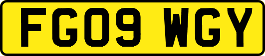 FG09WGY