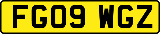 FG09WGZ