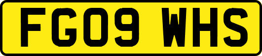FG09WHS