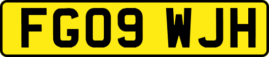 FG09WJH