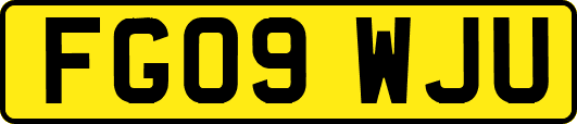 FG09WJU