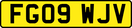 FG09WJV