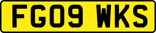 FG09WKS
