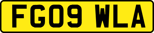 FG09WLA