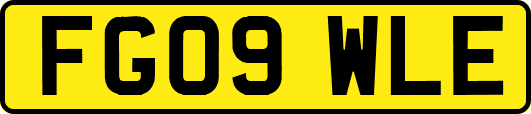 FG09WLE