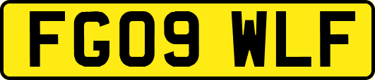 FG09WLF