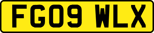 FG09WLX