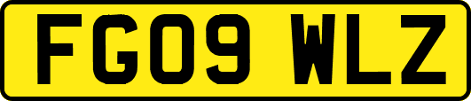 FG09WLZ