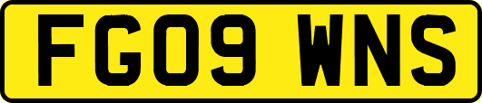 FG09WNS