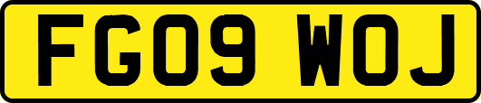 FG09WOJ