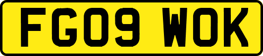 FG09WOK