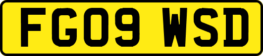 FG09WSD