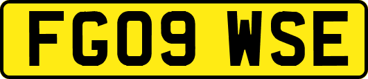 FG09WSE