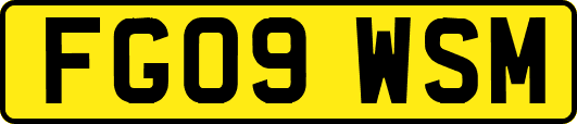 FG09WSM