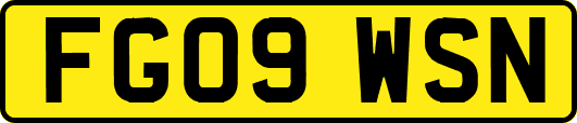 FG09WSN