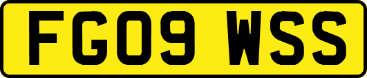 FG09WSS