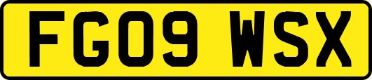 FG09WSX