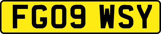FG09WSY