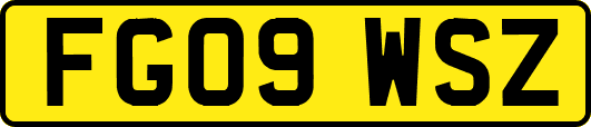 FG09WSZ