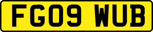 FG09WUB