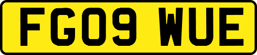 FG09WUE