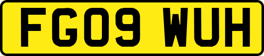 FG09WUH