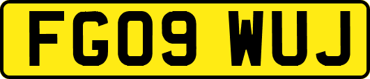 FG09WUJ