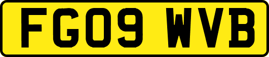 FG09WVB